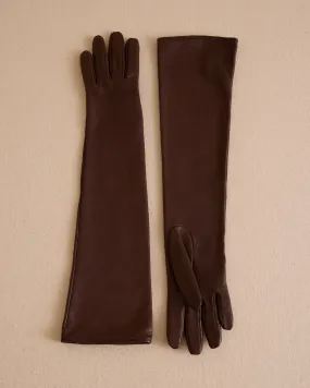 Babe 46 in Chocolate