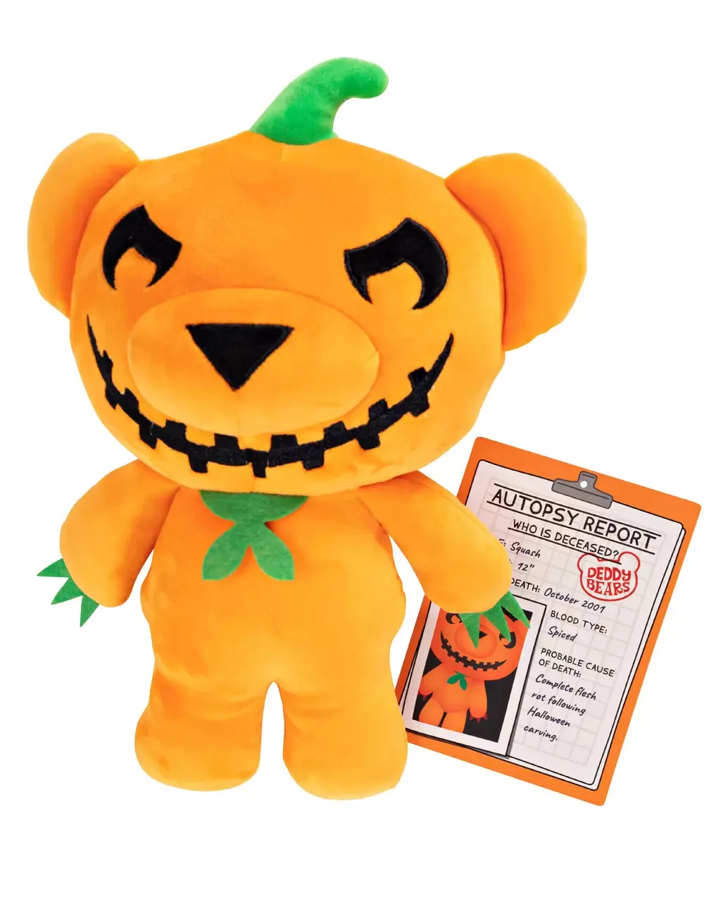 Squash Deddy Bear 30cm Plush